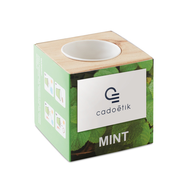 Plante personnalisée - Pot en bois avec graine  Minthy - Graines à planter pour Pro