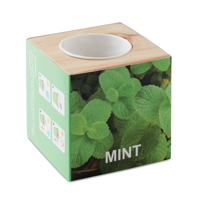 Kit de plantation de menthe dans cube en bois_Bois