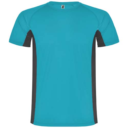 Turquoise/Dark lead