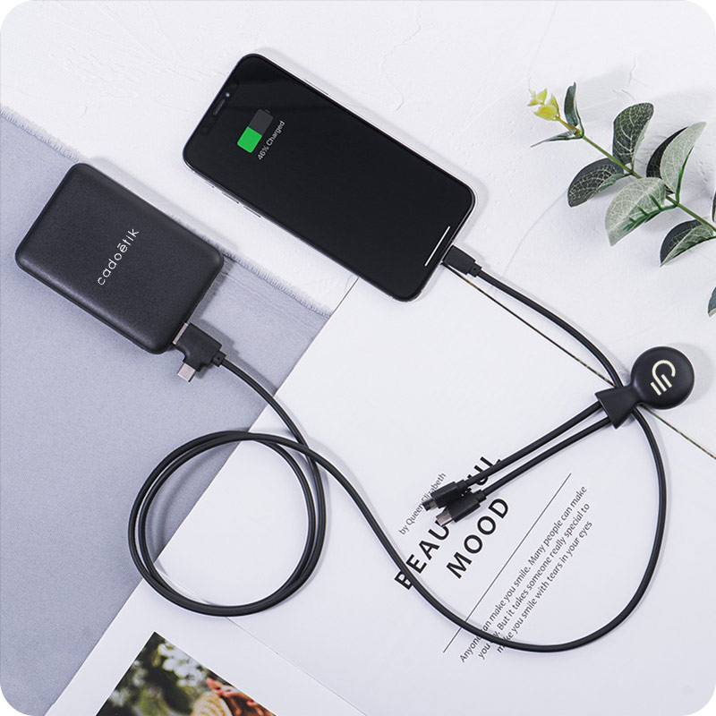 Pack batterie externe et multi-câble Mr Bio 5000 mAh_00