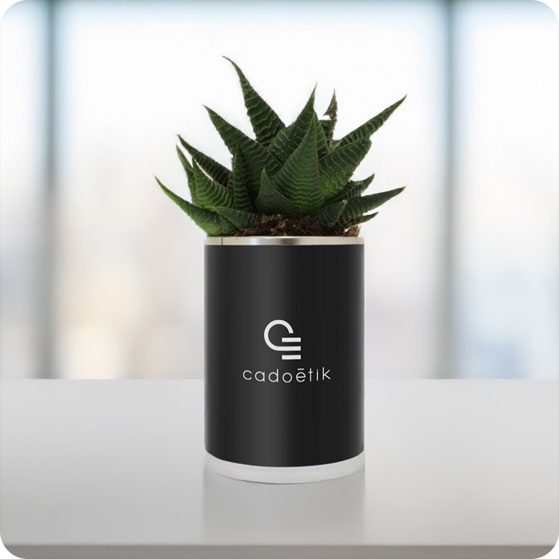 Canette avec plante dépolluante_00