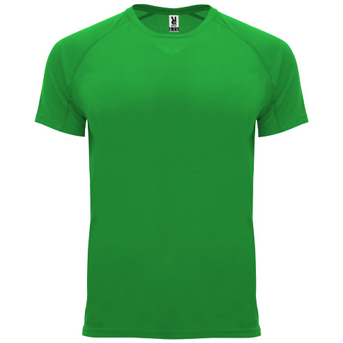 Vert fougère