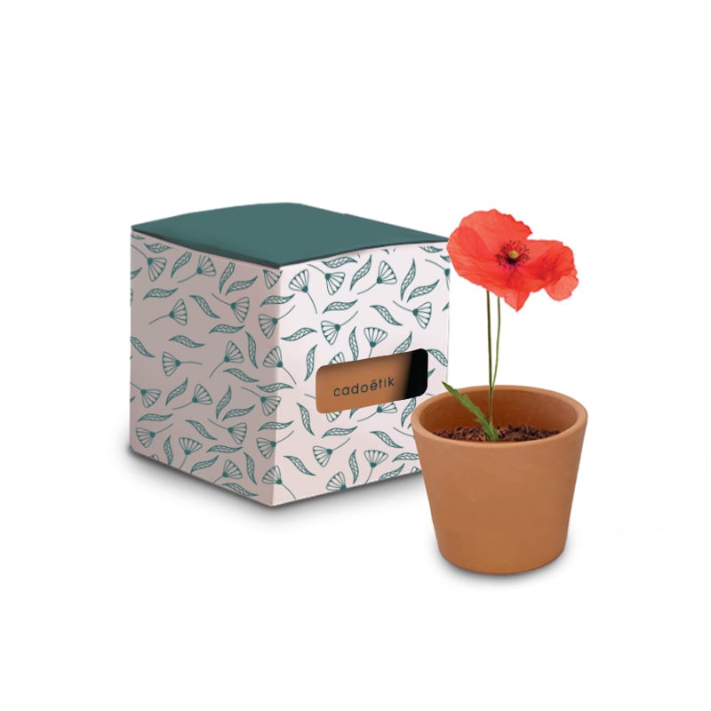 Goodies green - Le Cube de plantation 65 mm3
