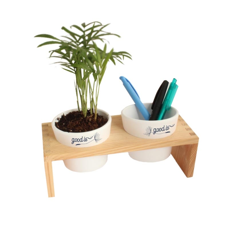 Plateau en bois avec plante dépolluante et pot en céramique_02