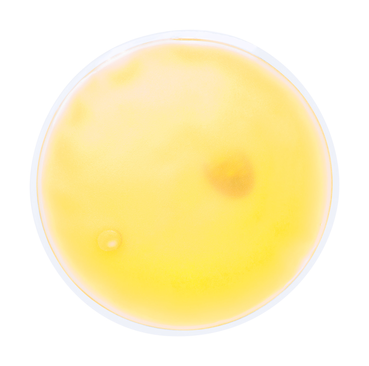 Jaune