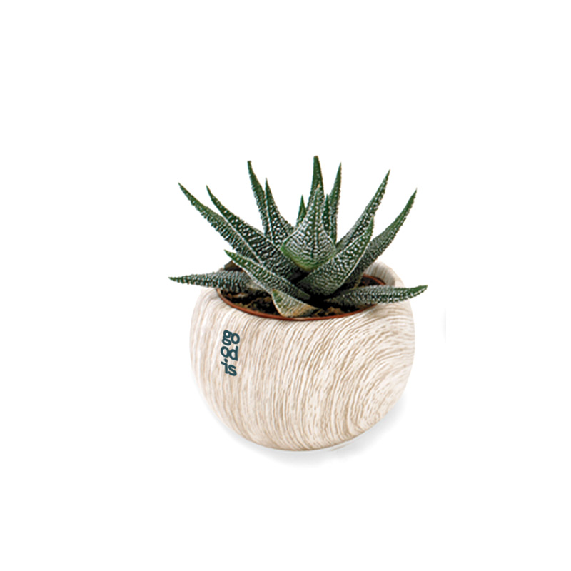 Plante dépolluante dans pot en céramique aimanté aspect bois_04