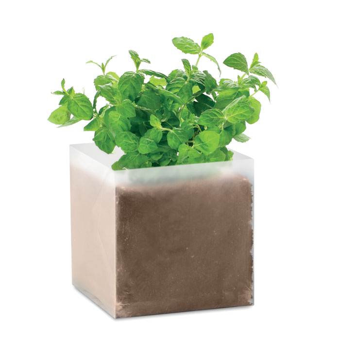 Substrat avec graines de menthe Mint_Beige