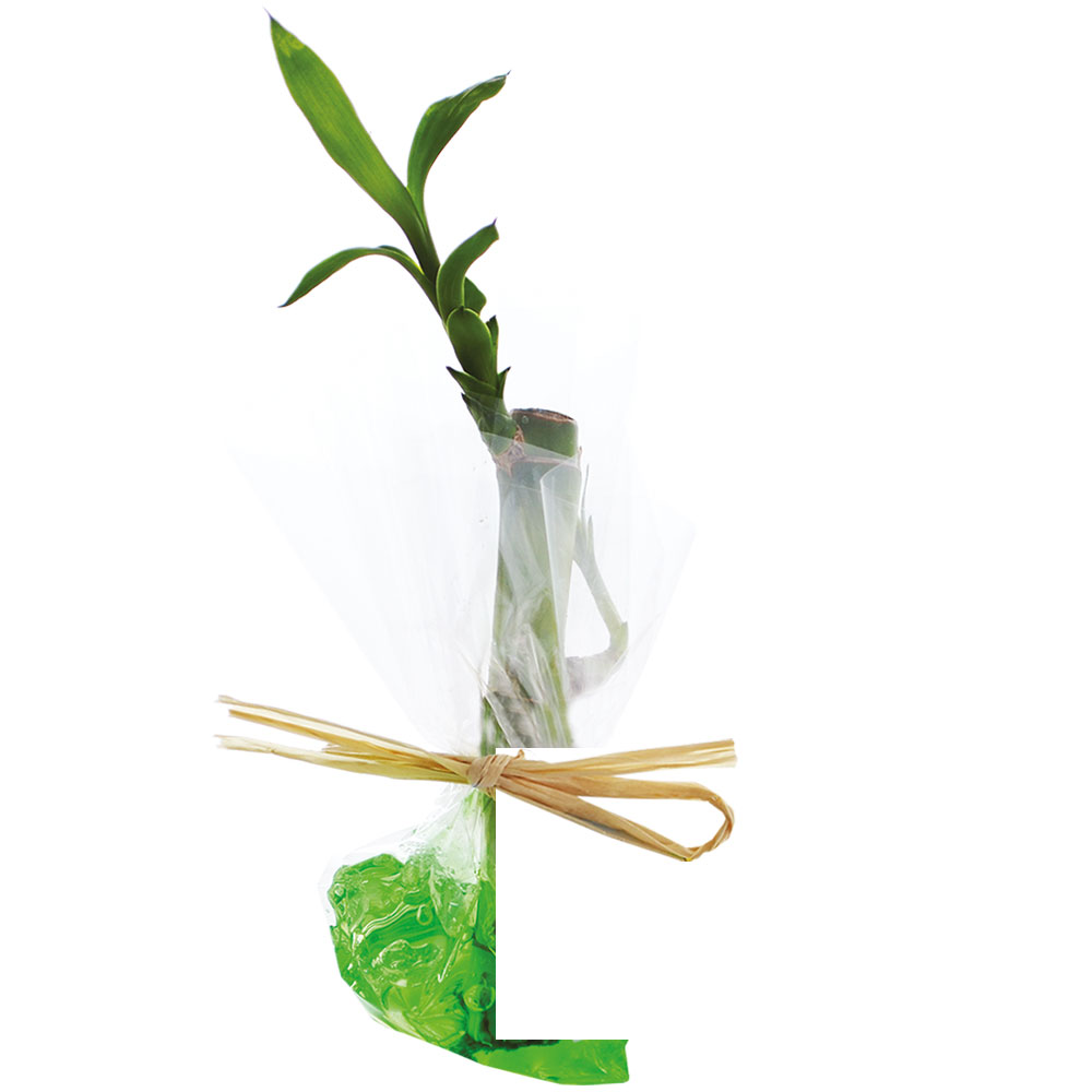 Vert