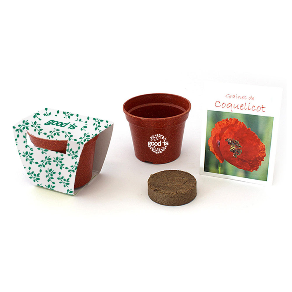 Kit de plantation dans pot en fibre de riz biodégradable_03