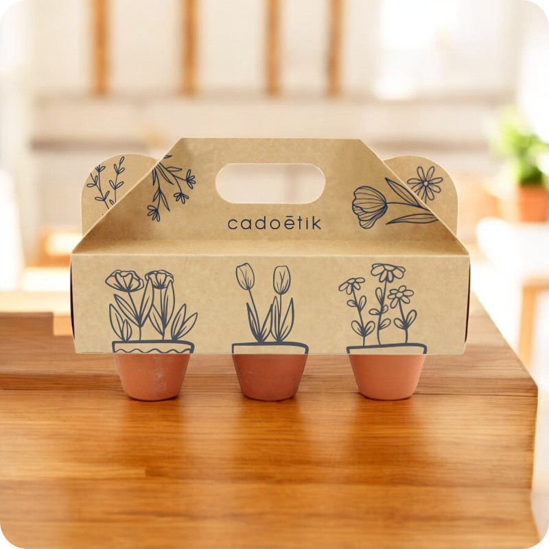 Kit de plantation 3 pots avec présentoir ou mallette en carton certifié_00