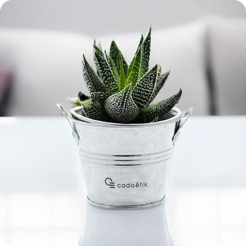 Mini plante dépolluante en pot en zinc _00