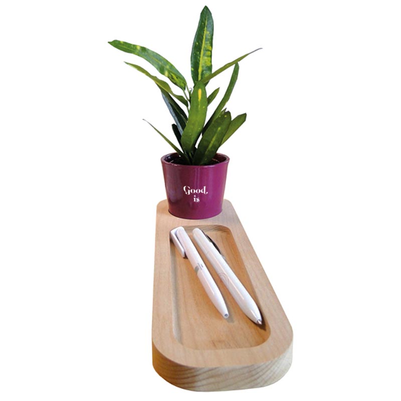 Plateau en bois avec plante dépolluante_02