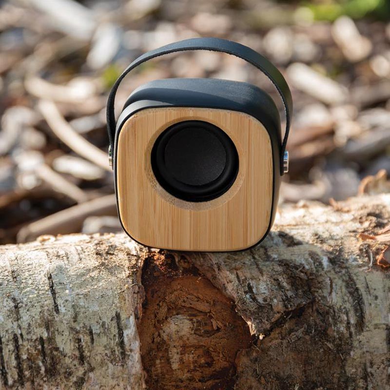 Enceinte en bambou 3W Eyewood