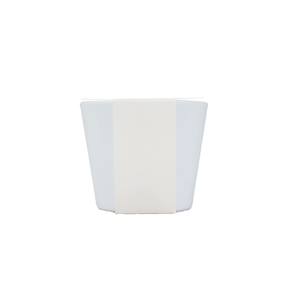 Kit de plantation dans un pot en céramique_Blanc