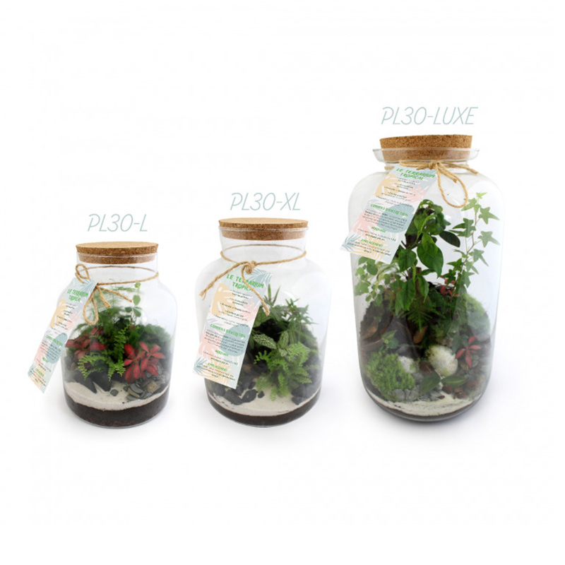 Terrarium tropical Modèle Confort_03