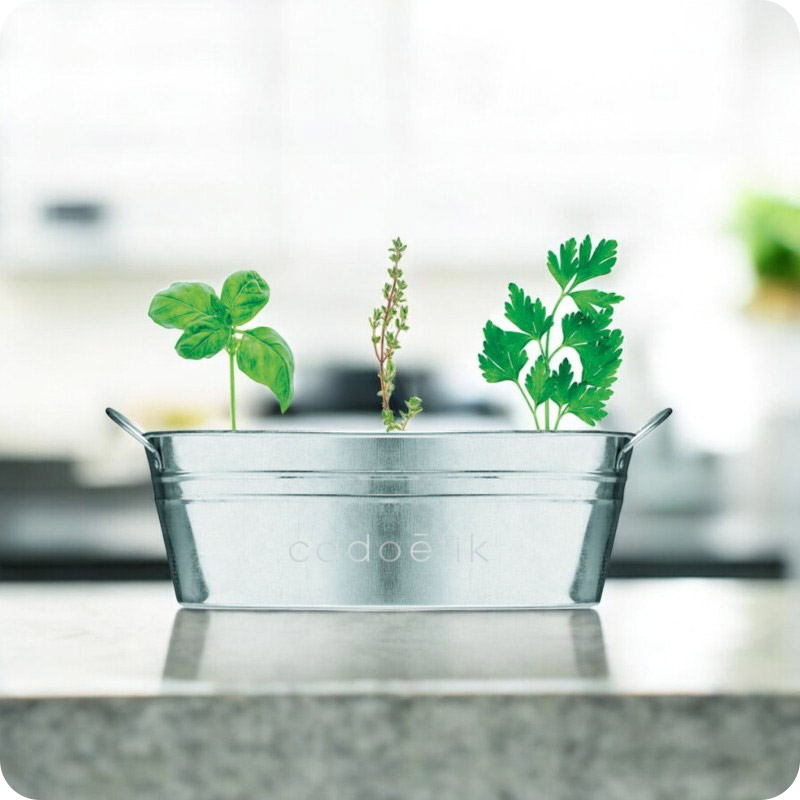 Kit de plantation en zinc Mix Seeds_00