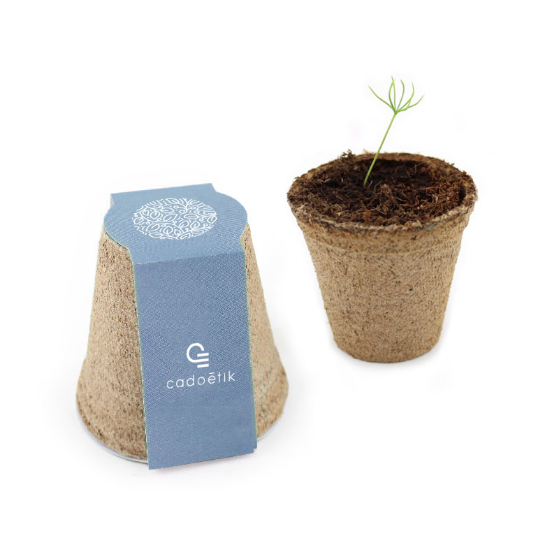 Kit de plantation d’arbre dans pot en cellulose_1