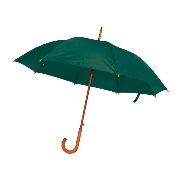 Parapluie droit canne Ster_Vert