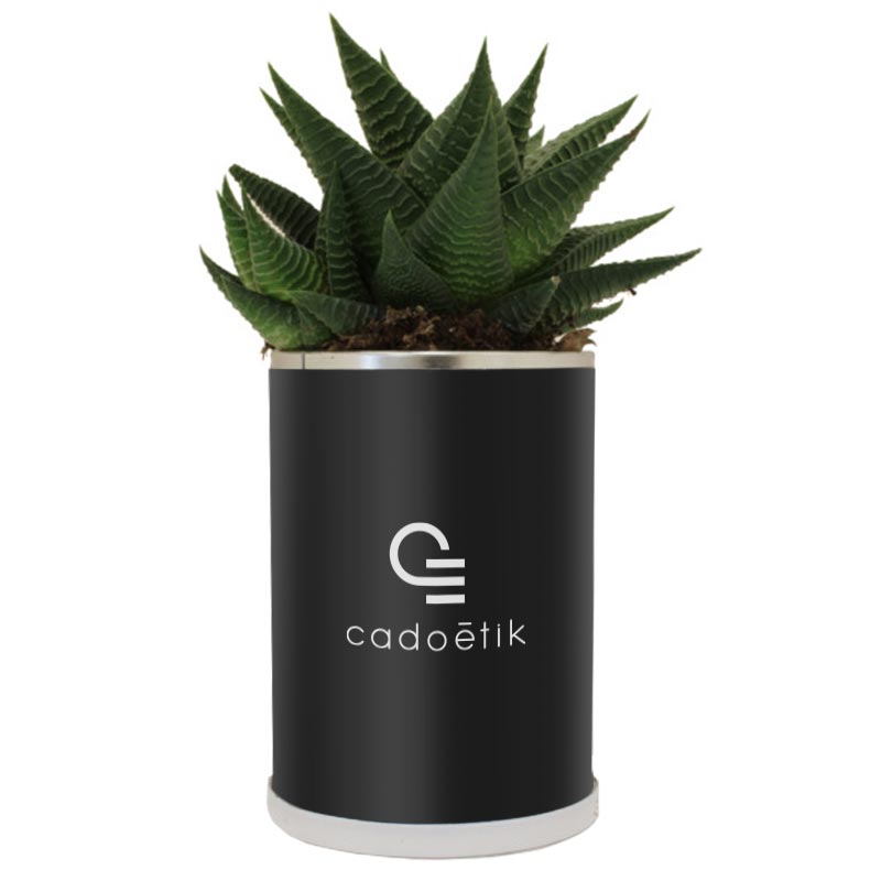 Plante personnalisée - Cadeau d'entreprise écologique - Canette à plante Cactus