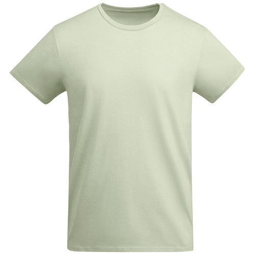 Mist green
