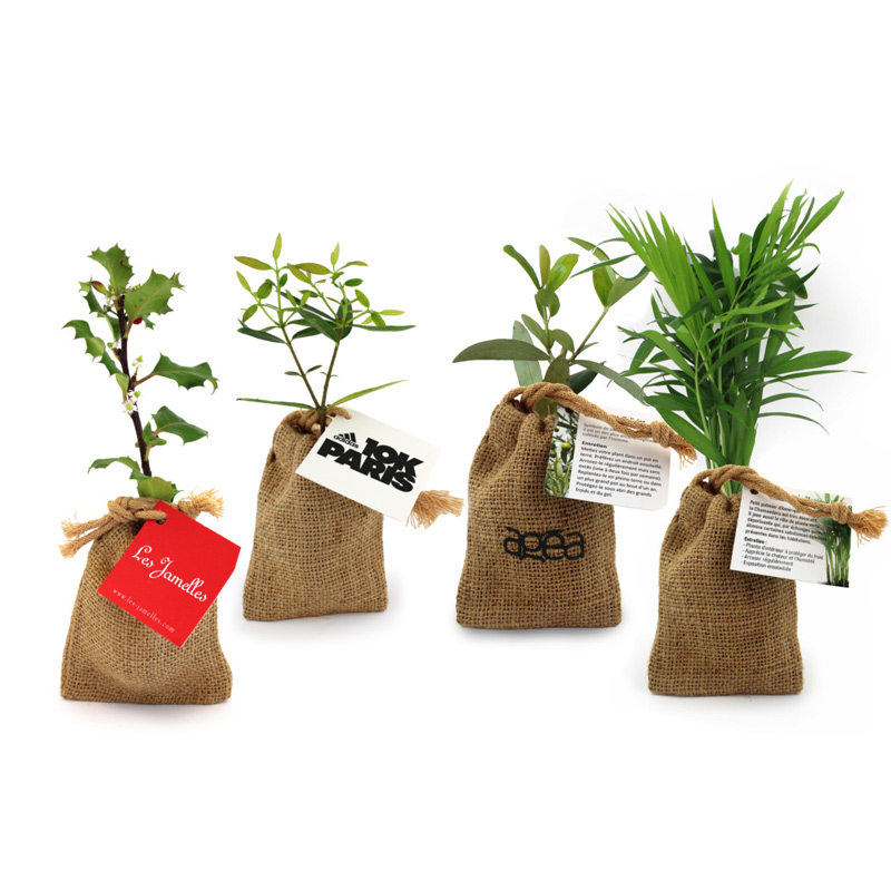 Mini plant d'arbre en pochon en jute_02