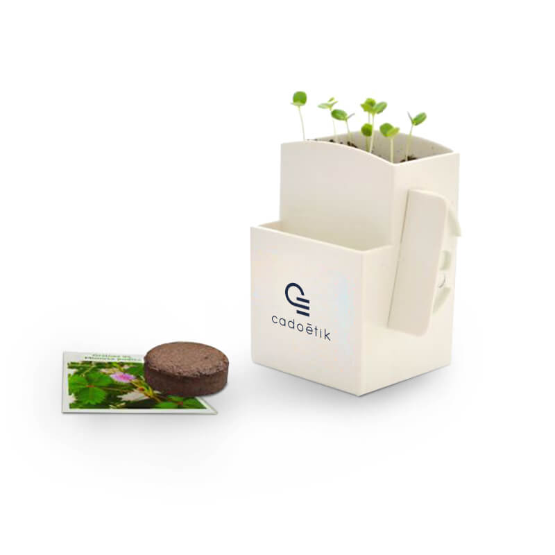 Cadeau végétal pour entreprise - La végétal-Box cadeau entreprise avec plante dépolluante