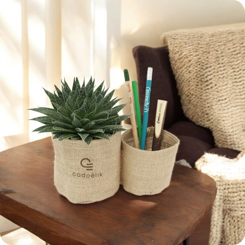 Plante dépolluante dans double pot en jute_00