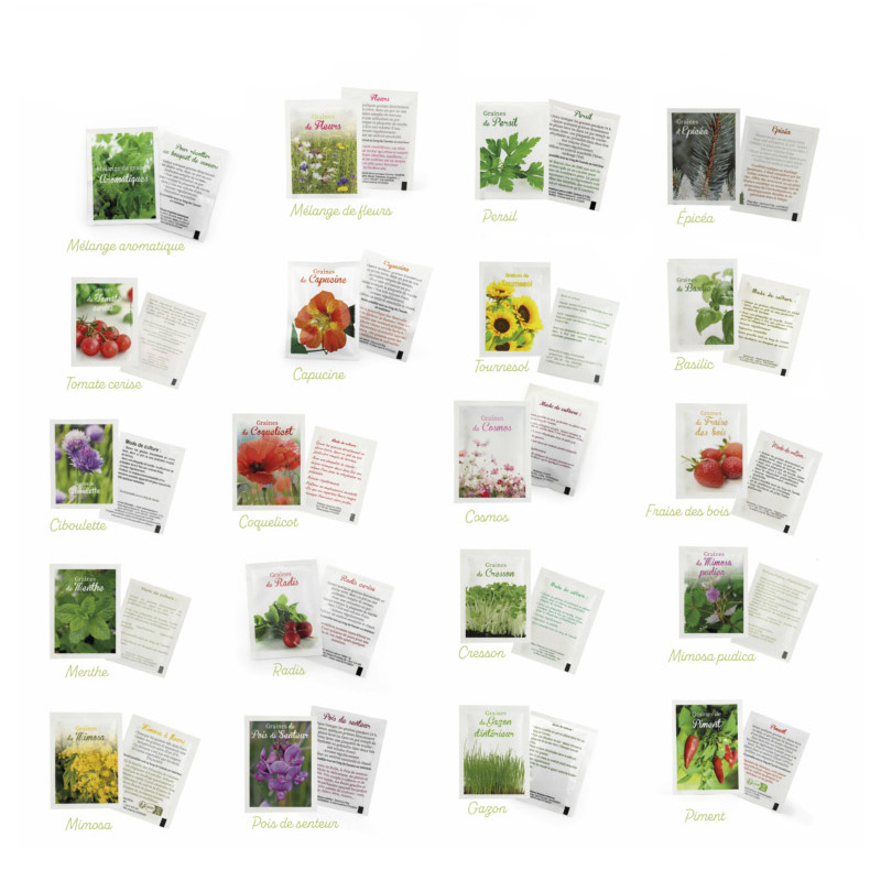 Kit de plantation 3 pots avec présentoir ou mallette en carton certifié_02