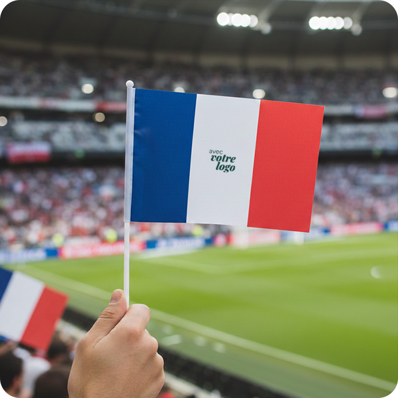 Drapeau francais tricolore 45 x 30 cm_00