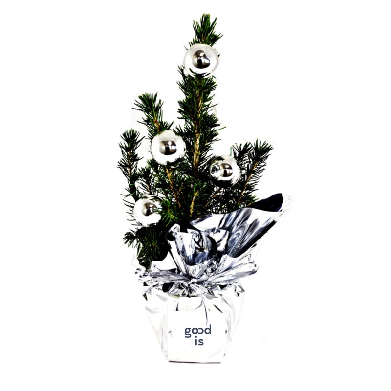 Sapin décoré en pot _03