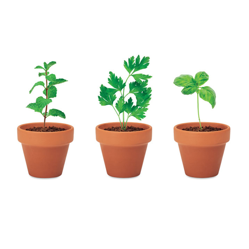 Kit de plantation herbes aromatiques Flowerpot_02