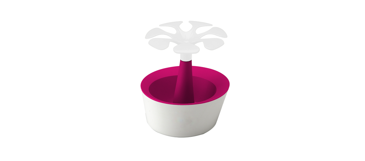 Fuchsia