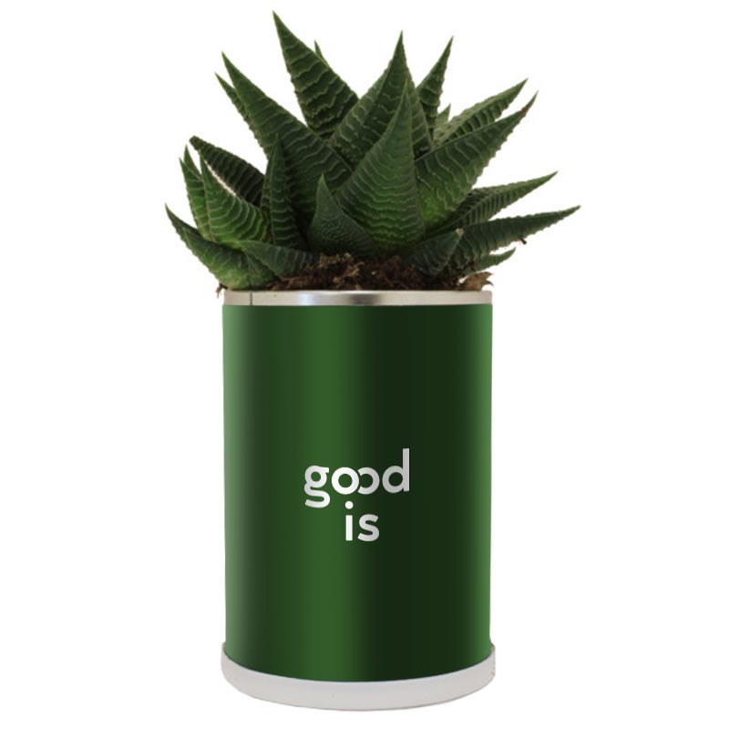 Cadeau publicitaire végétal - Canette à plante Cactus