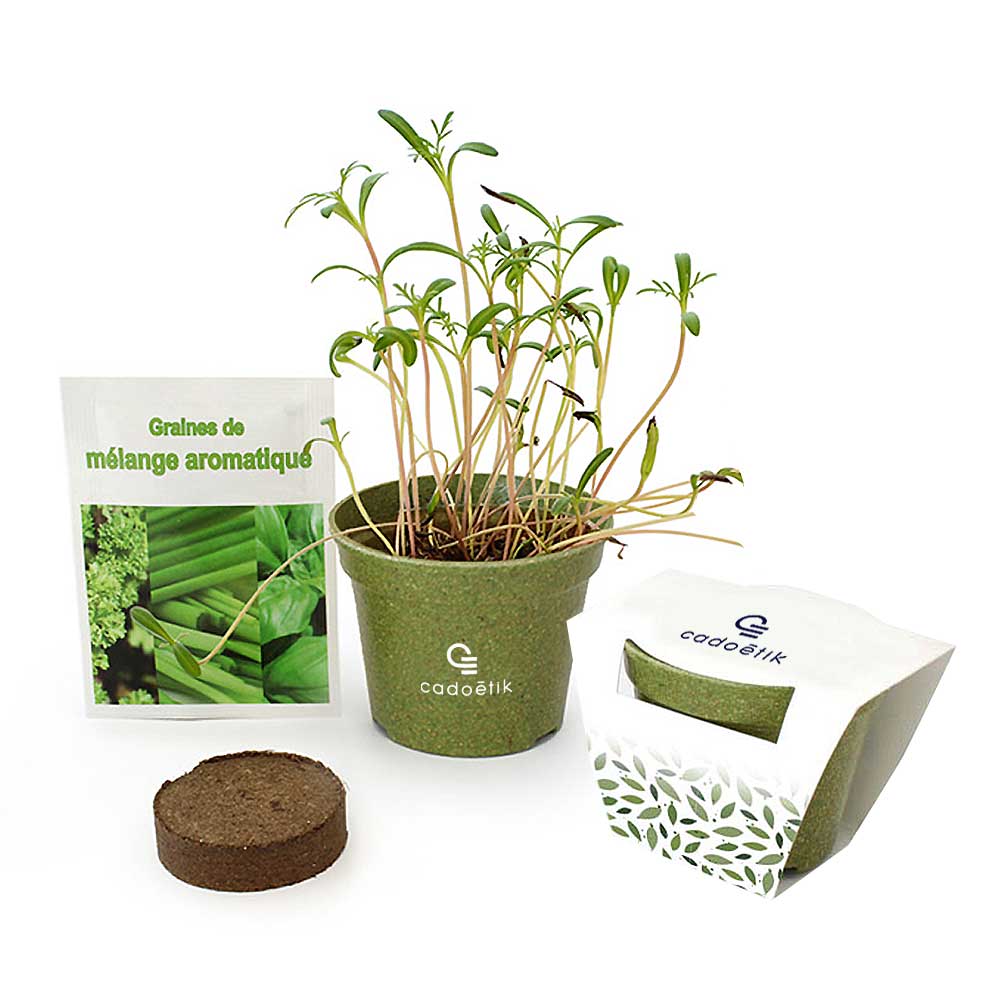 Goodies originaux - Kit de plantation publicitaire Jardin Ecolo - Cadeau publicitaire écologique
