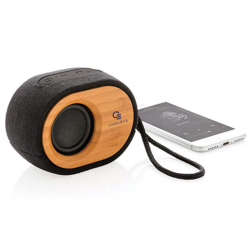Enceinte Bamboo X