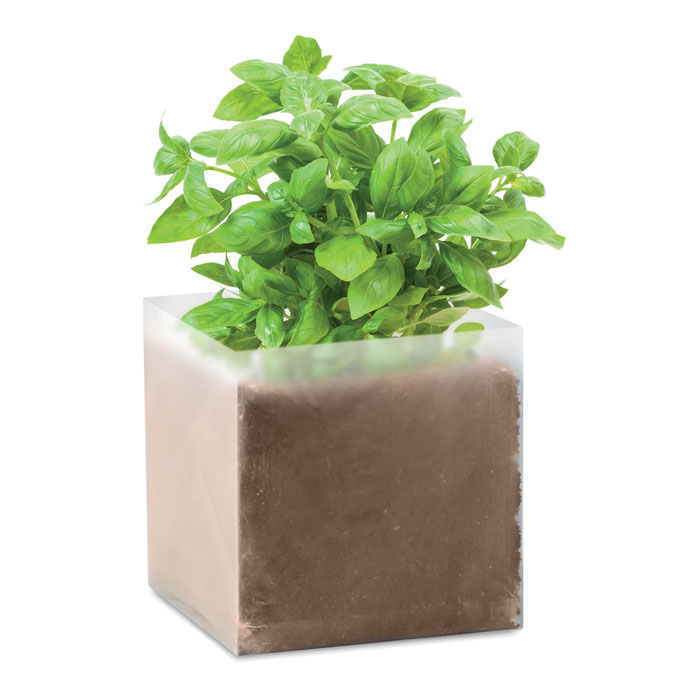 Substrat avec graines de basilic Basil_Beige