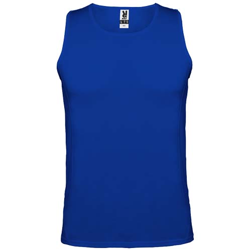Bleu royal