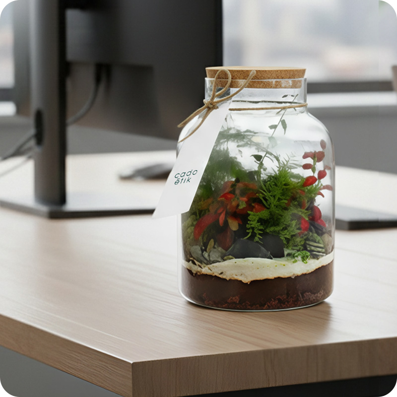 Terrarium personnalisé tropical Modèle Confort_00