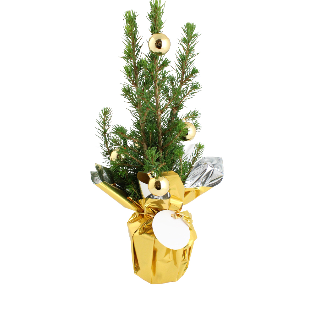 Sapin décoré en pot _Or
