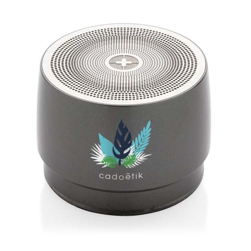 Enceinte 5 W Swiss Peak Subfwoofer