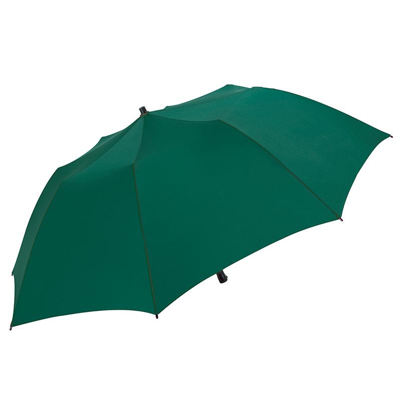 Vert foncé