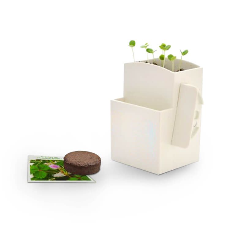 Cadeau publicitaire écologique - La végétal-Box avec plante dépolluante
