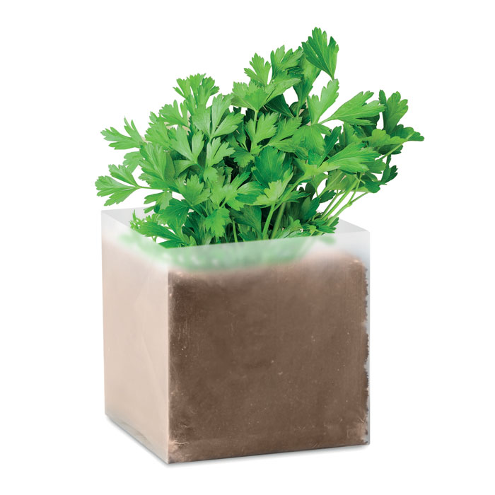 Substrat avec graines de persil Parsely_Beige