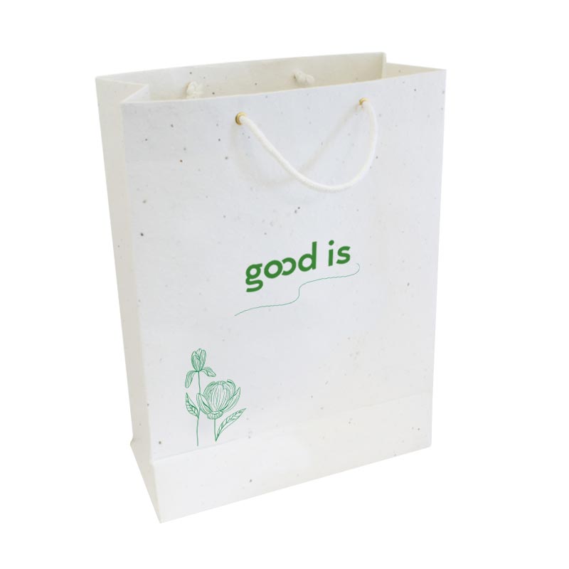 Sac medium en papier ensemencé 26 x 35 cm_03