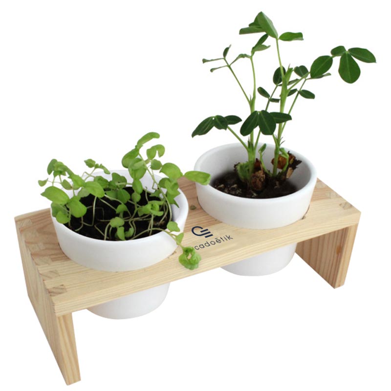 Cadeau publicitaire végétal - Plateau Duo aromatiques