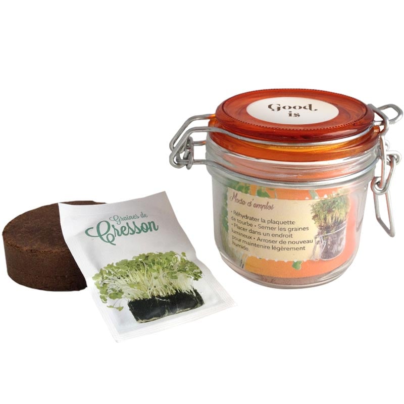 Kit de plantation dans un pot en verre_03