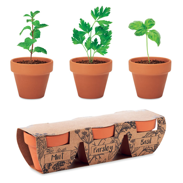 Kit de plantation herbes aromatiques Flowerpot_Bois