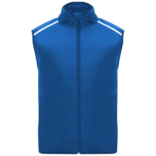 Bleu royal