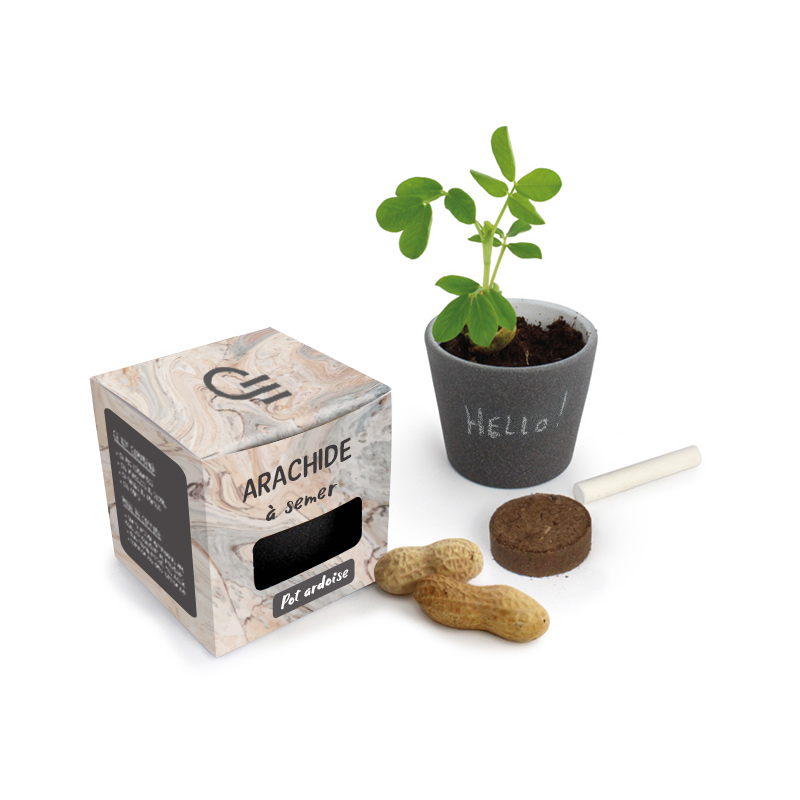 Cube kit de plantation ardoise