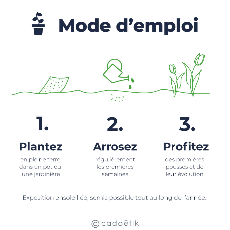 Médaille à planter en bois et papier ensemencé_04